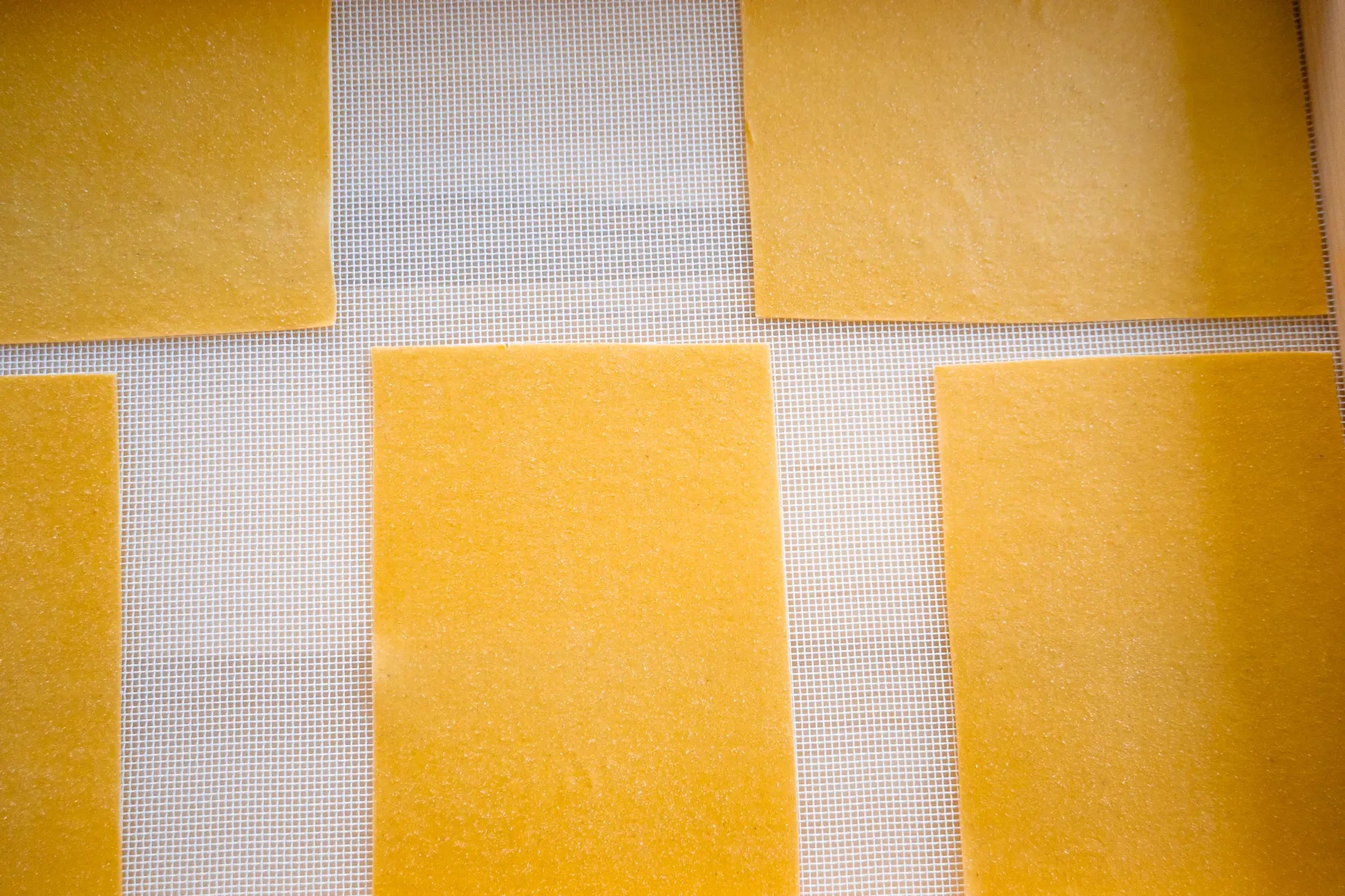 Sfoglia per lasagne e cannelloni