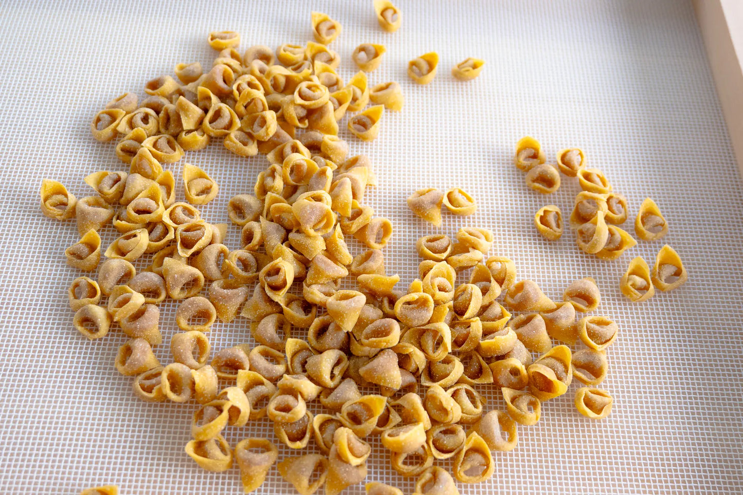 Tortellini special 1